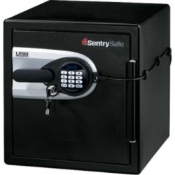 Sentry Fire Safe Data Protection