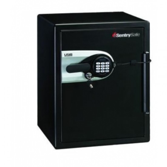 Sentry Fire Safe Data Protection